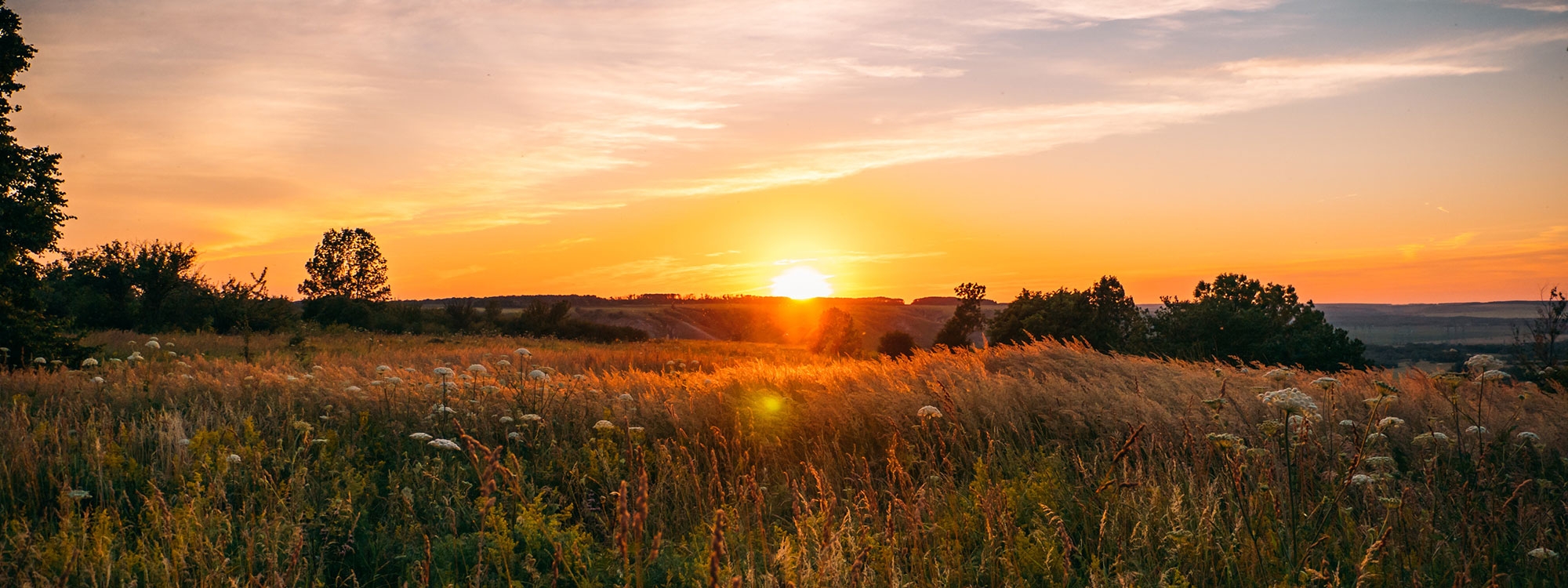 A sunrise over a wheat field in Oklahoma.