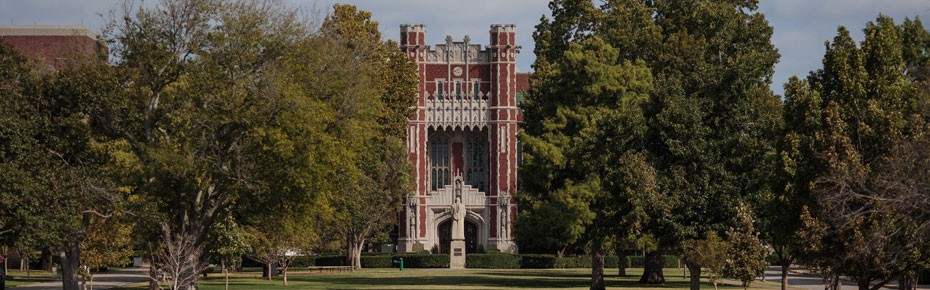 students studying in bizzell memorial library