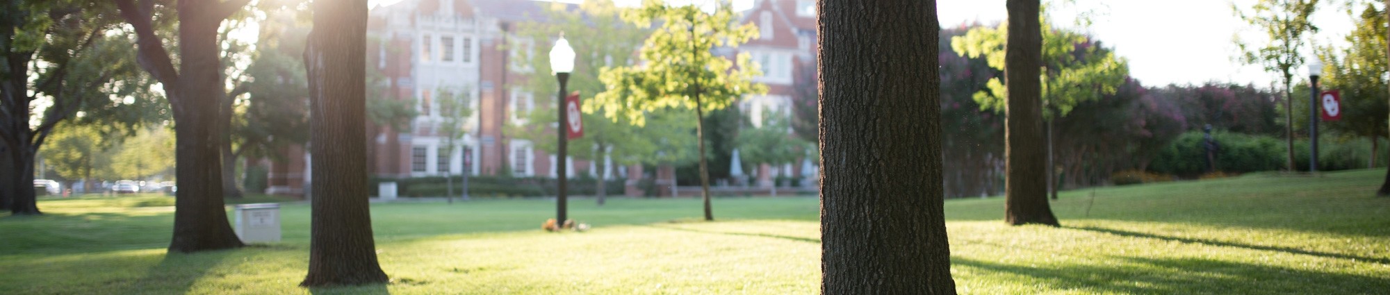 Trees and buildings on OU's campus in Norman, Oklahoma.