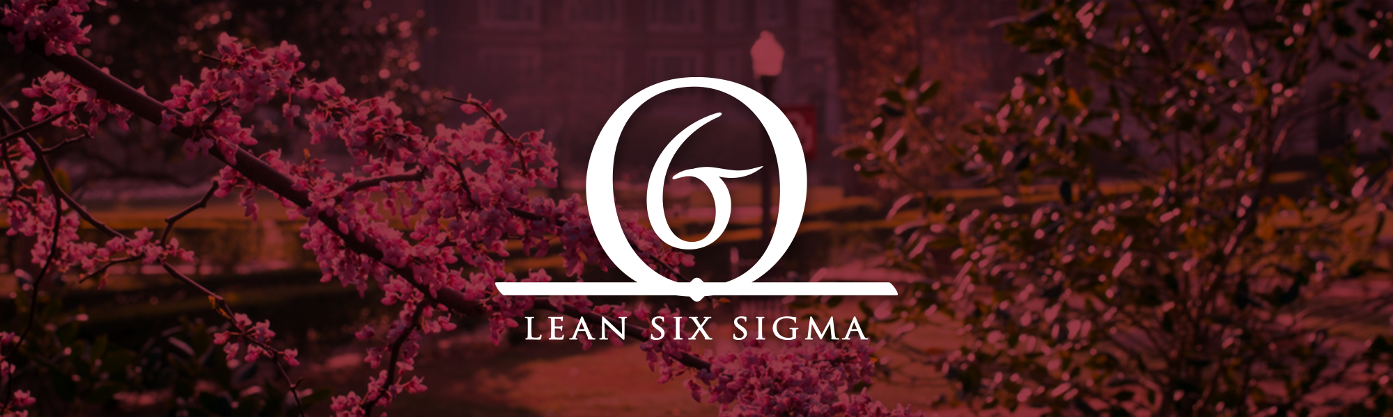 Lean Six Sigma Logo