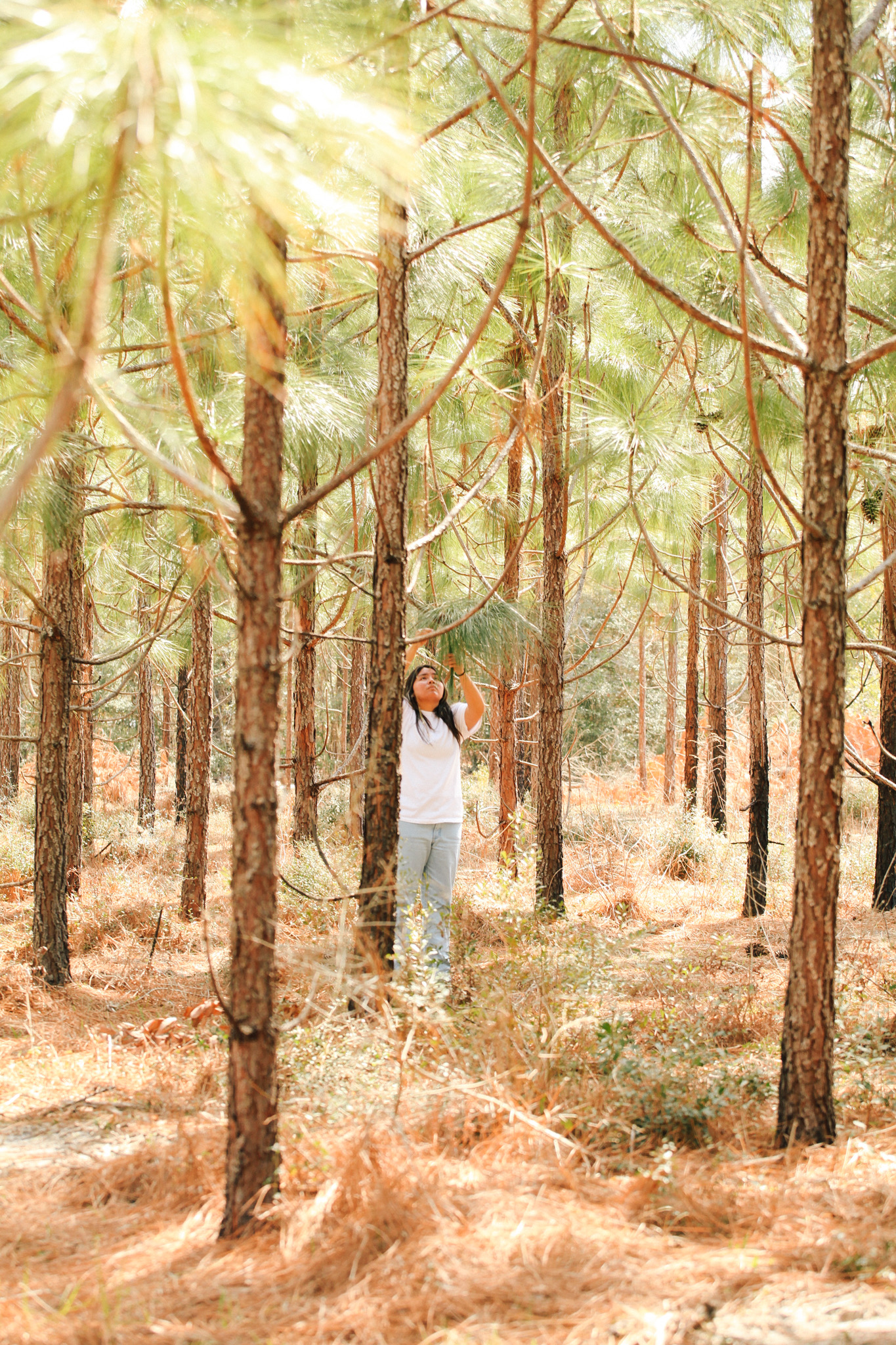 Charity Battise amongst longleaf pine trees