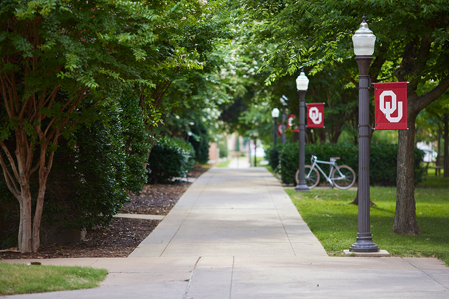 A walkway on campus surrounded by trees and lampposts with OU flags.