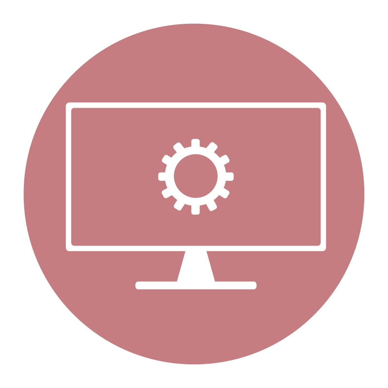 A white computer monitor icon with a settings gear in the center, with a pink circular background.