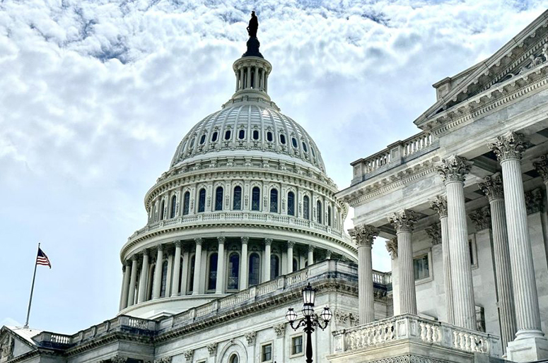 Capitol building in Washington D.C.