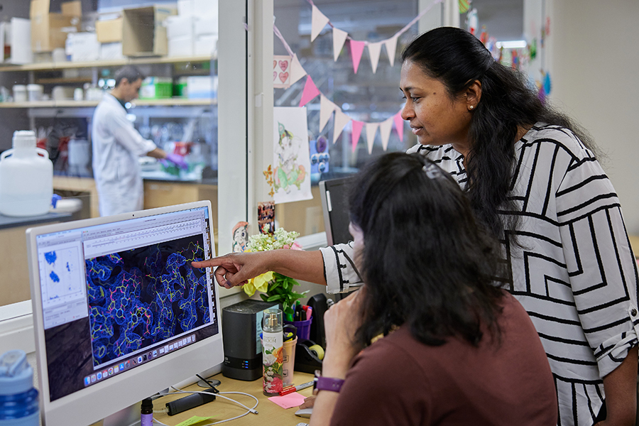 Dr. Rajan, standing, examines research data with a grad student.