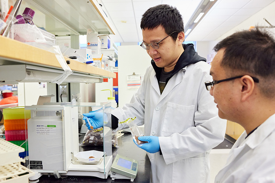 OU researchers preparing a soil sample.