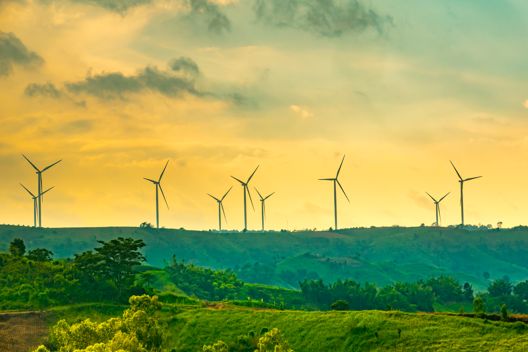 Wind powered generators in a field