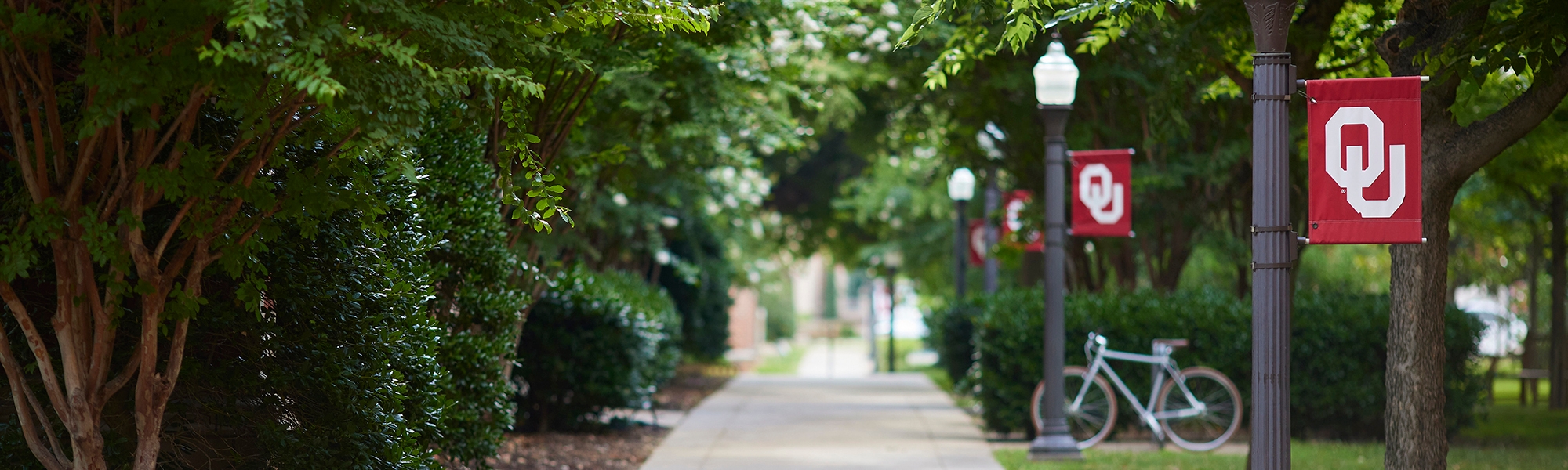 Walkway between Evans Hall and Bizzell Memorial Library on OU campus in Norman, OK. Walkway lined with OU flags on lampposts, and a bike parked alongside.