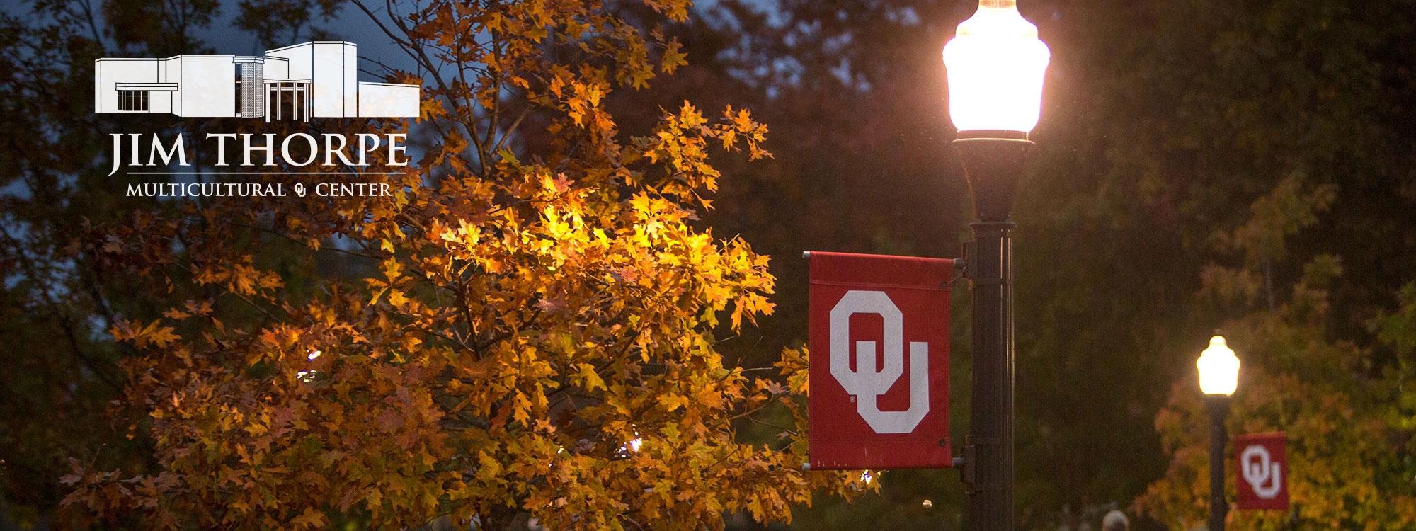 The Jim thorpe multicultural logo and OU flag on a light pole in front of fall leaves on tree at night.