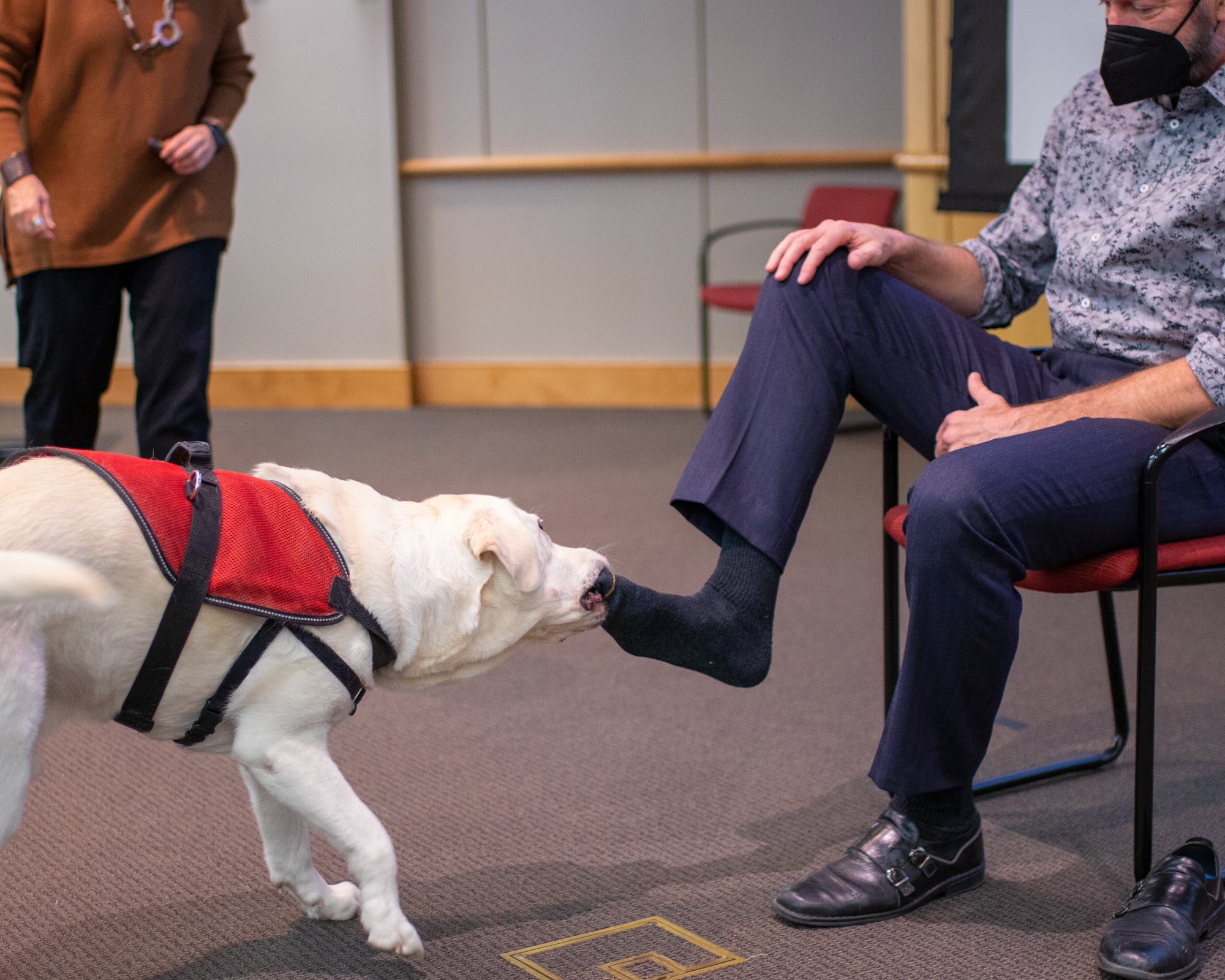 Professor Paws demonstrating his abilities during presentation