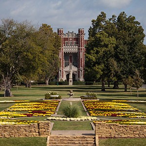 South Oval Mums