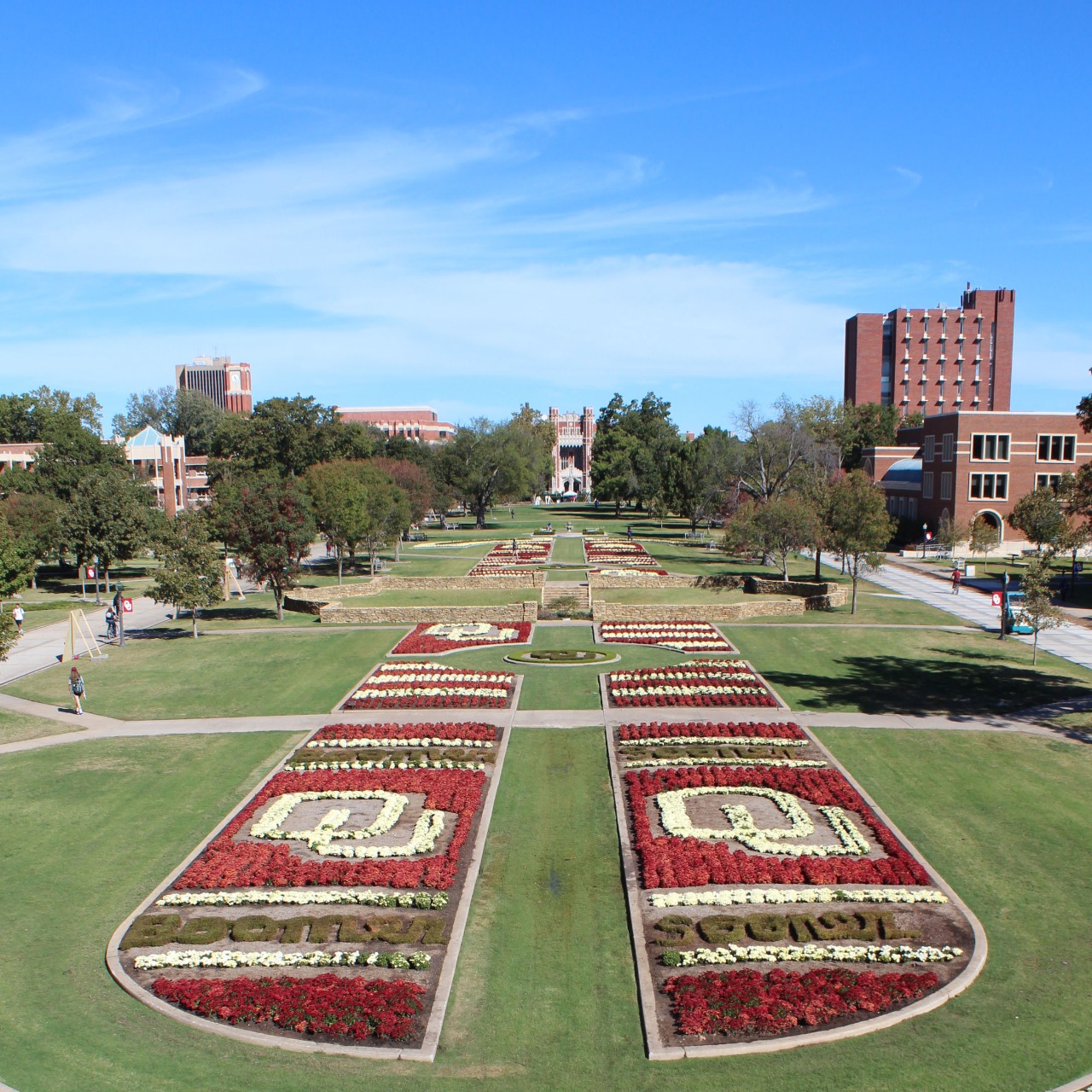 2014 South Oval Mums