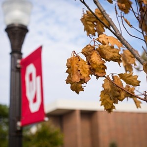 Autumn leaves at OU