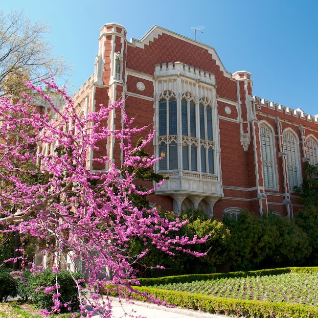 campus building with tree