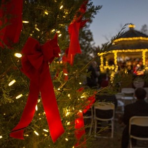 tree-with-lights