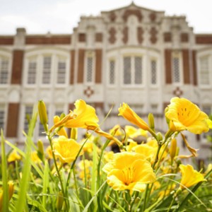 Flowers on campus