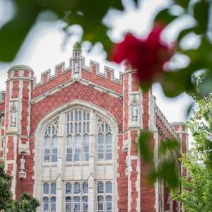 Flower on campus at the University of Oklahoma