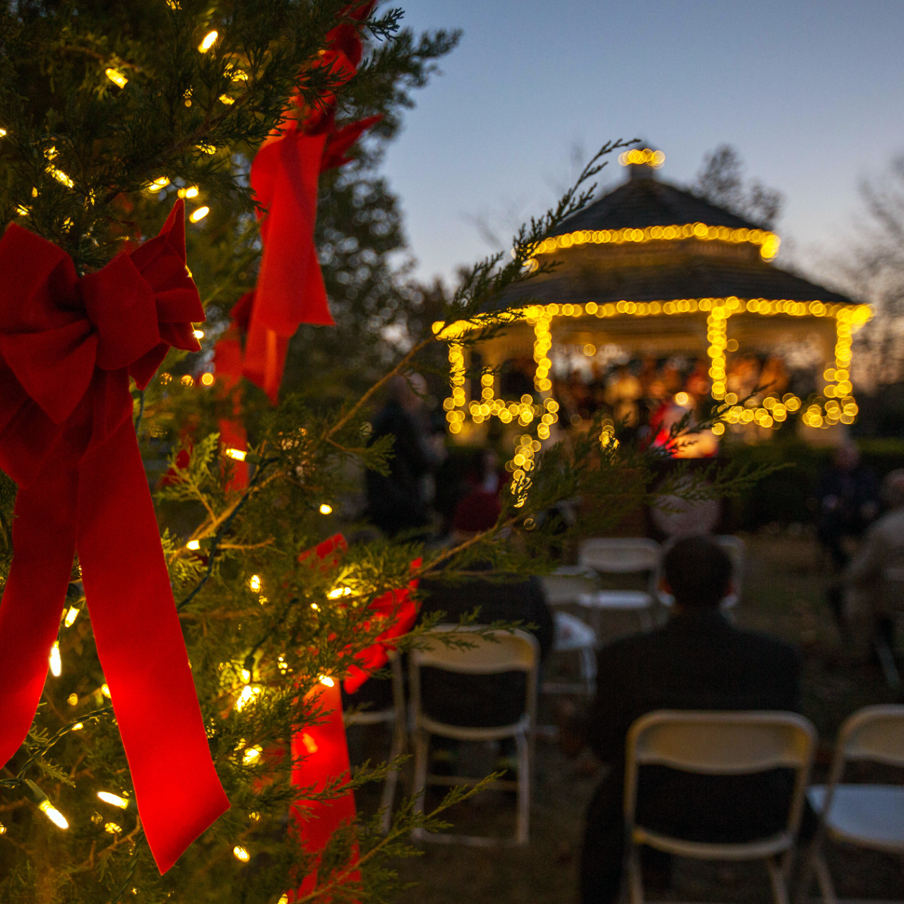 Holiday Lights at the University of Oklahoma