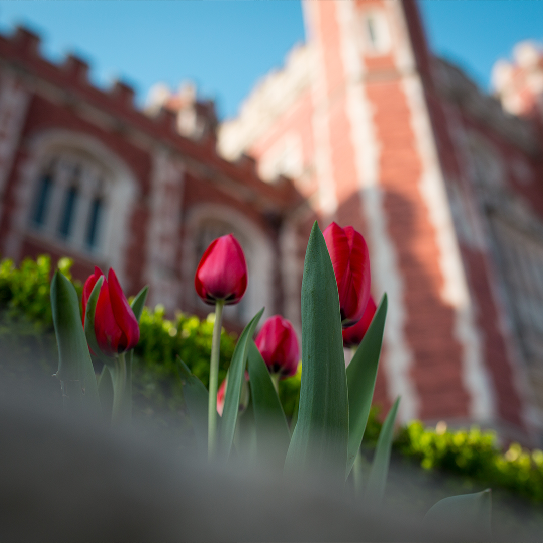 OU Campus Beauty